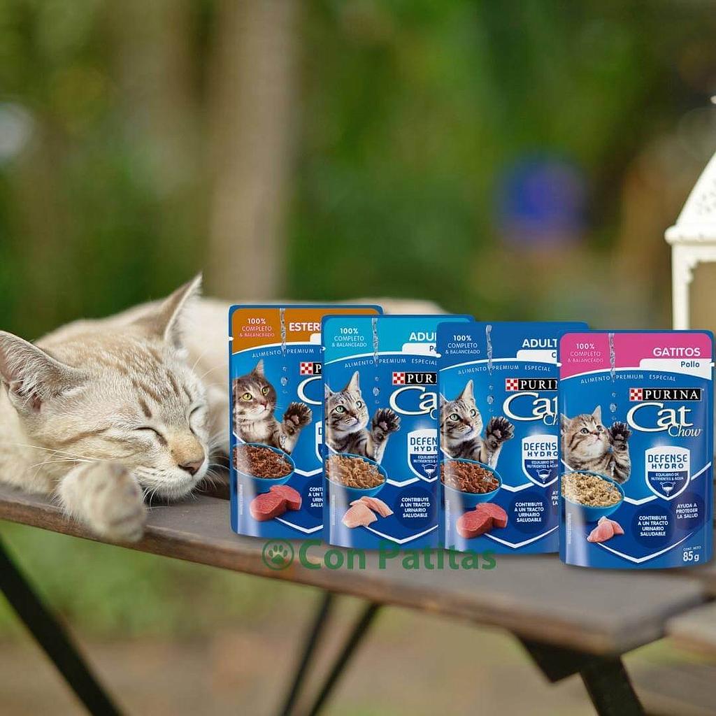 Pouch Cat Chow 